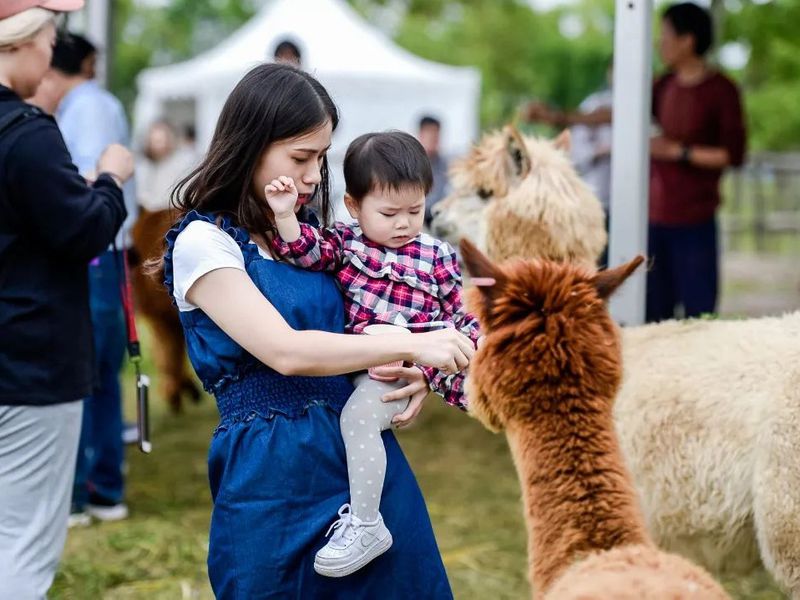 微信图片_20200526165908.jpg 微信图片_20200526165908.jpg