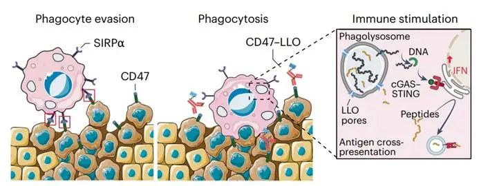 图示

AI 生成的内容可能不正确。