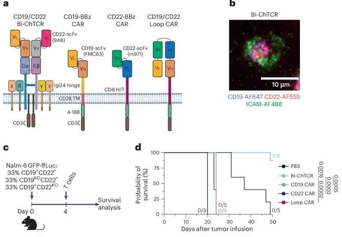 箱线图

AI 生成的内容可能不正确。
