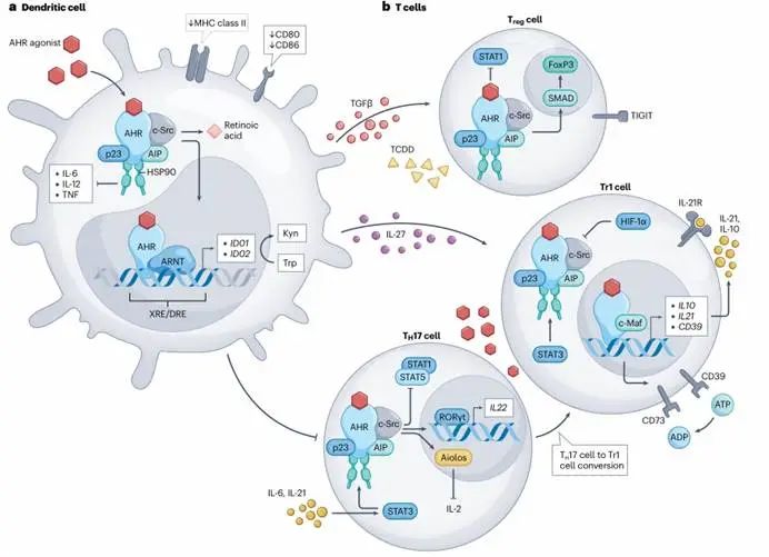 图示

AI 生成的内容可能不正确。