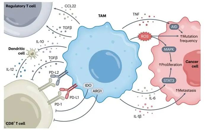 图示, 示意图

AI 生成的内容可能不正确。