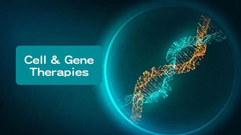 细胞和基因治疗30周年成为主流?聚焦载体效率和安全性、个体化细胞治疗|基因在线新闻