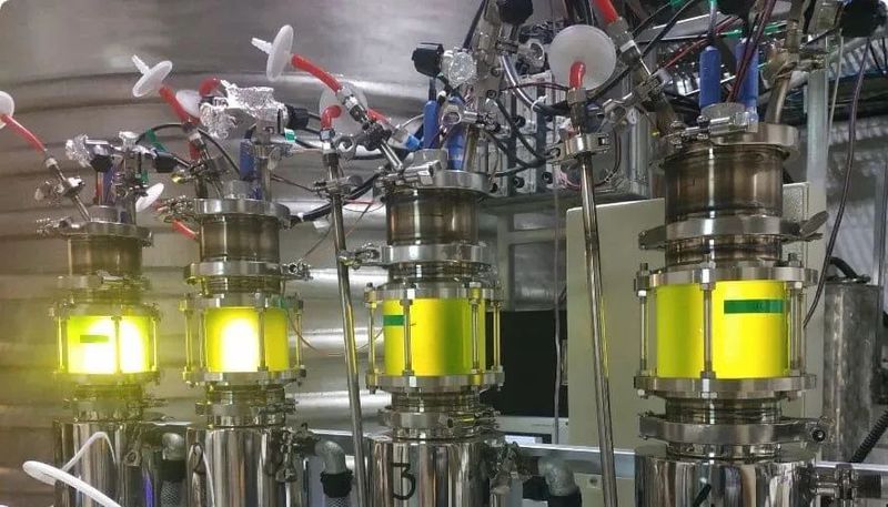 采用 Brevel 专利工艺的小型生物反应器