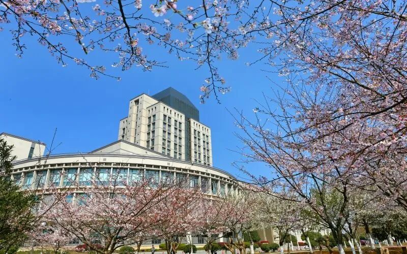 江南大学介绍-掌上高考