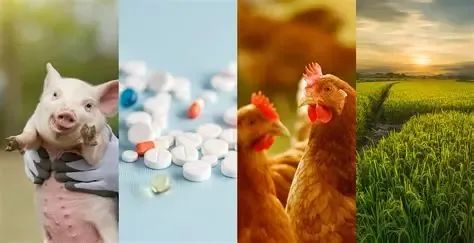 苏州引航生物科技有限公司