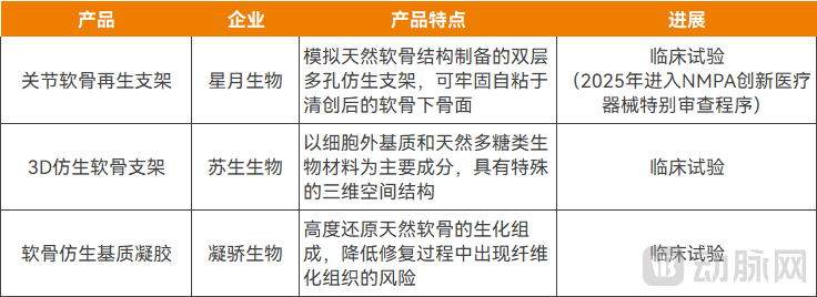 图片3软骨支架.png