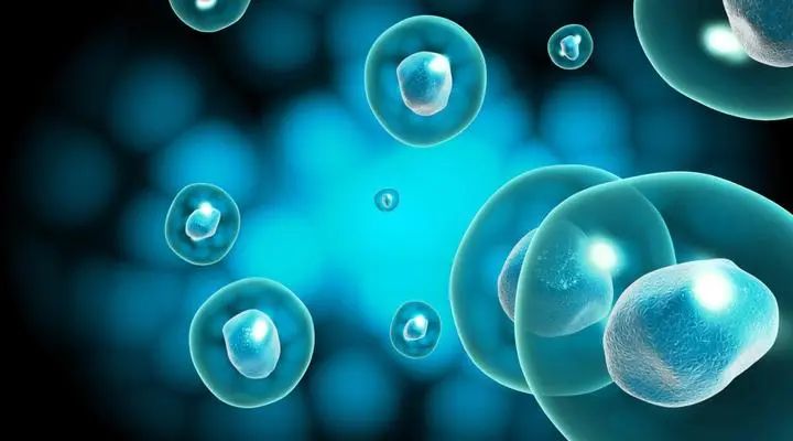 人体免疫细胞有哪些 - 知乎