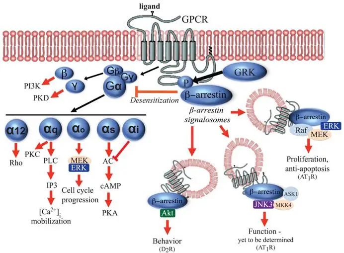 图示

AI 生成的内容可能不正确。