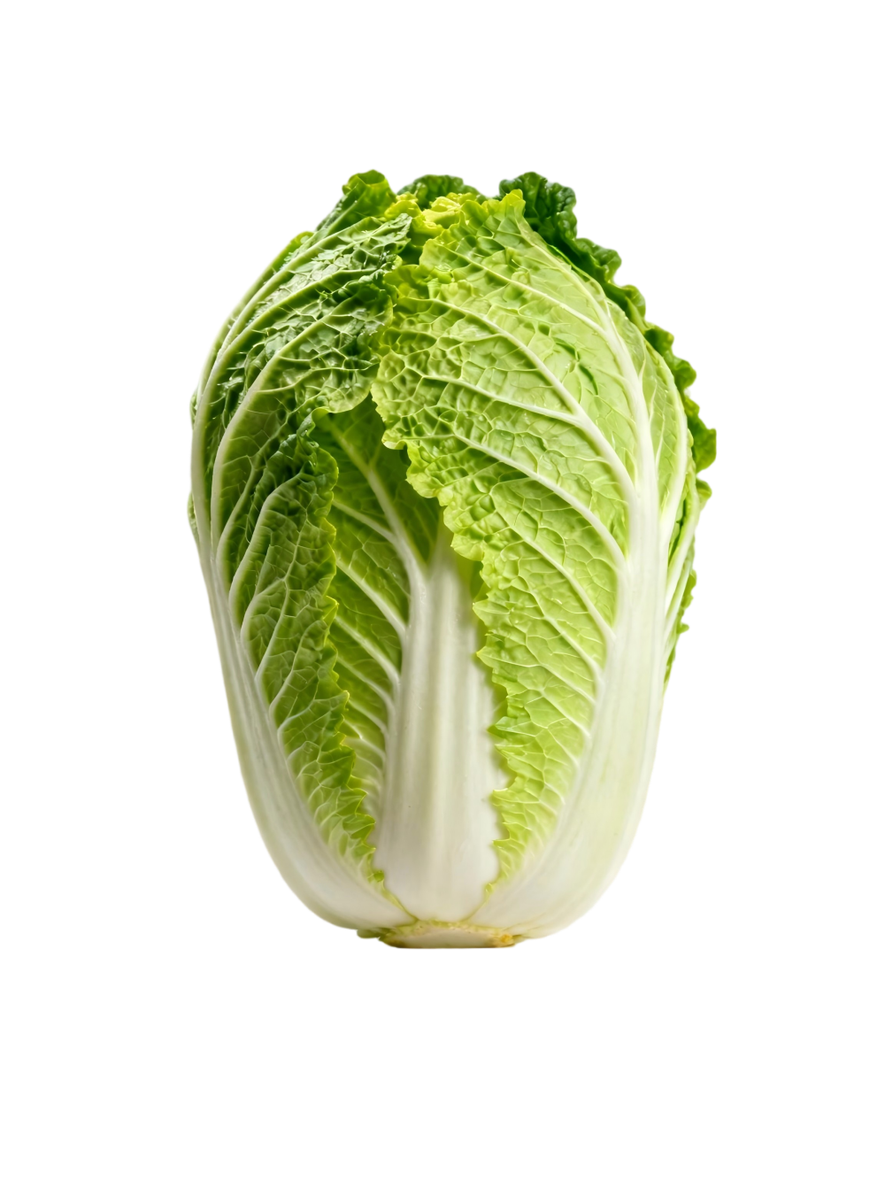 大白菜