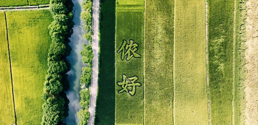 现代氢农业设施